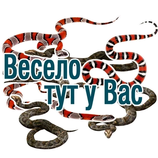 Стикер Favorite stickers :: @fStikBot - 4