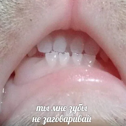 зуб кожа орган