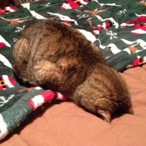 Sticker f_fa0fmurc_1046580055_by_fStikBot - 1