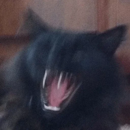 Sticker Favorite stickers by @fStikBot - 8