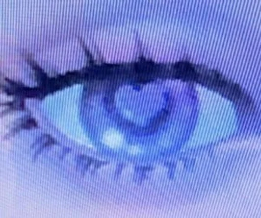 животное аквариум