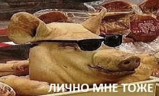 СМС пища