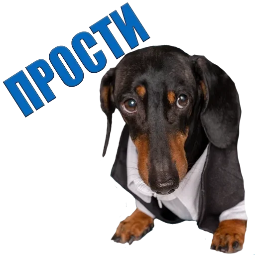 Стикер Favorite stickers by @fStikBot - 10