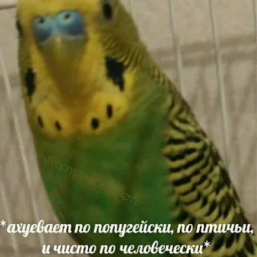 Стикер Favorite stickers by @fStikBot - 2