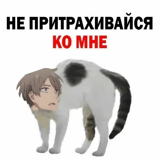 млекопитающее животное СМС