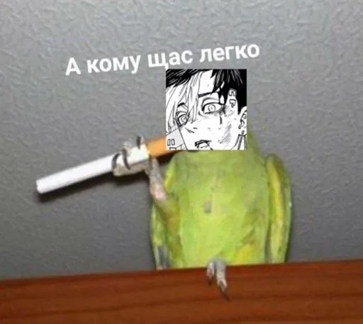parrot bird text