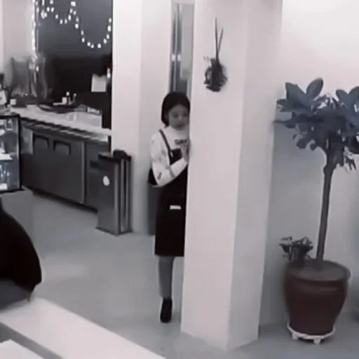 стена комнатный ваза