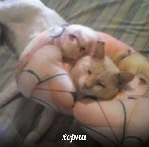 mammal person indoor