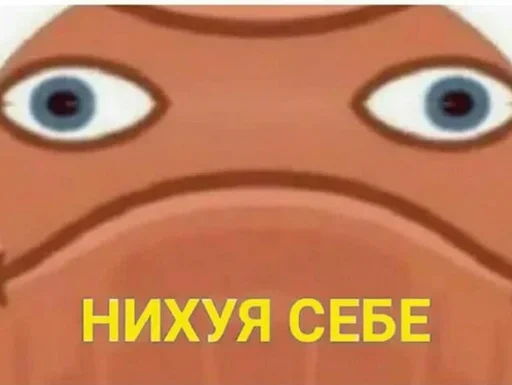 СМС мультфильм взор