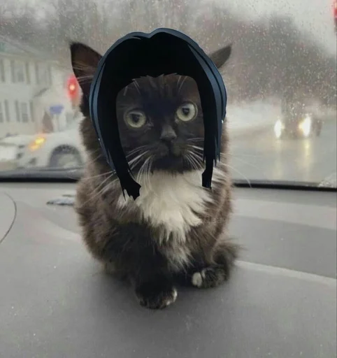 Стикер Favorite stickers :: @fStikBot - 4