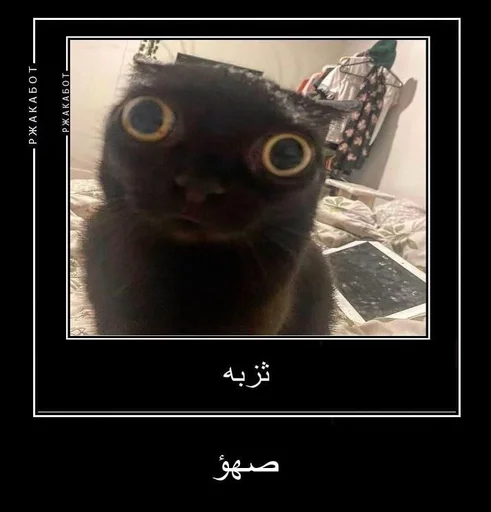 Стикер Favorite stickers :: @fStikBot - 9