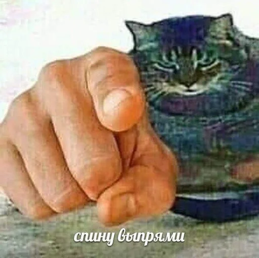 Favorite stickers by @fStikBot - human face