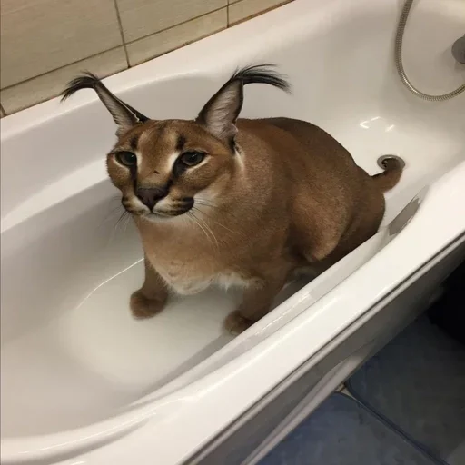 Sticker Favorite stickers :: @fStikBot - 0