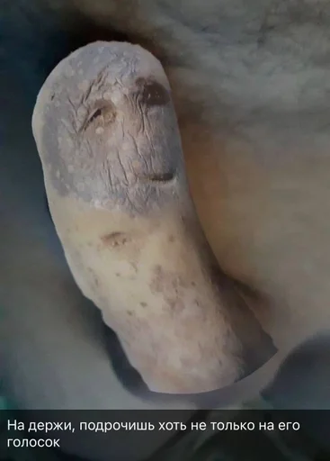 statue sculpture art