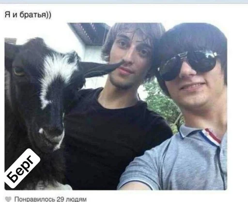 human face sunglasses person