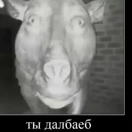 Стикер Favorite stickers :: @fStikBot - 5