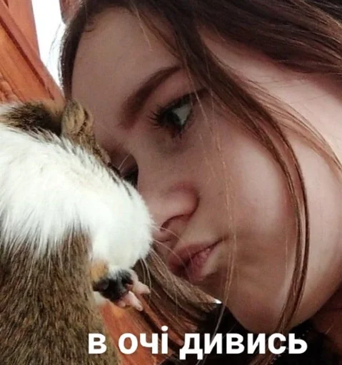 Стикер Favorite stickers :: @fStikBot - 4