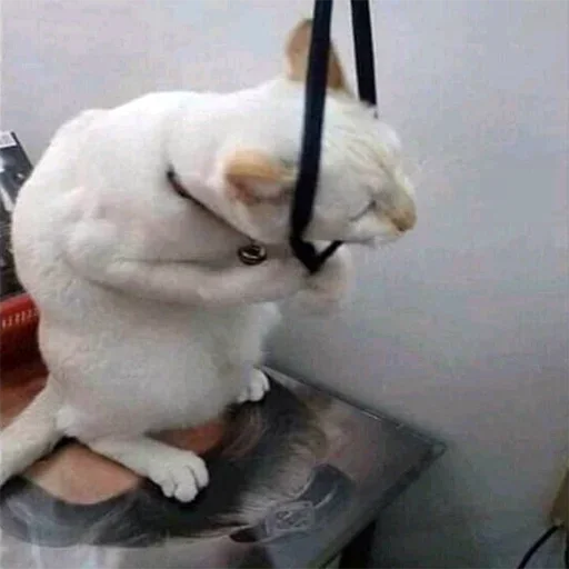 Стикер Favorite stickers by @fStikBot - 6