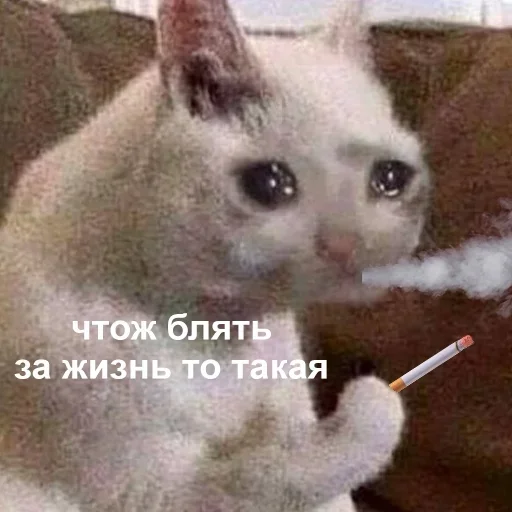 Стикер Favorite stickers by @fStikBot - 4