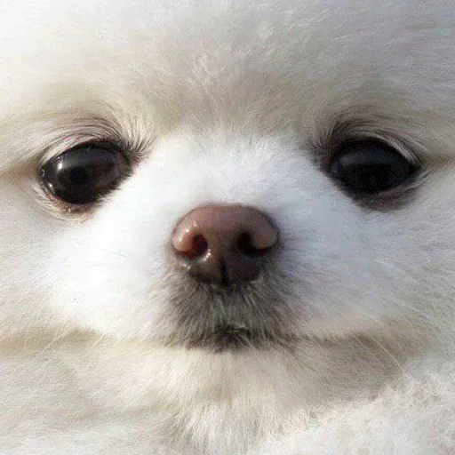 Стикер Favorite stickers by @fStikBot - 3