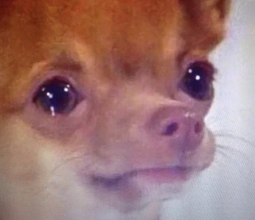 Стикер Favorite stickers by @fStikBot - 1