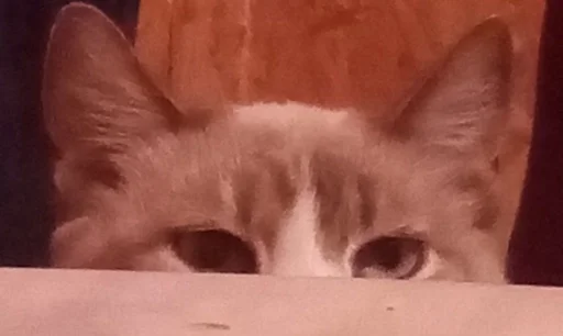 Sticker Favorite stickers :: @fStikBot - 4