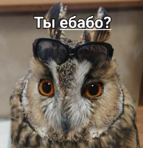 Sticker Favorite stickers :: @fStikBot - 1