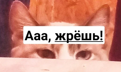 Sticker Favorite stickers :: @fStikBot - 0