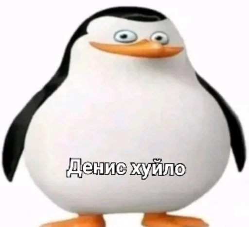 пингвин нелетающая птица водная птица