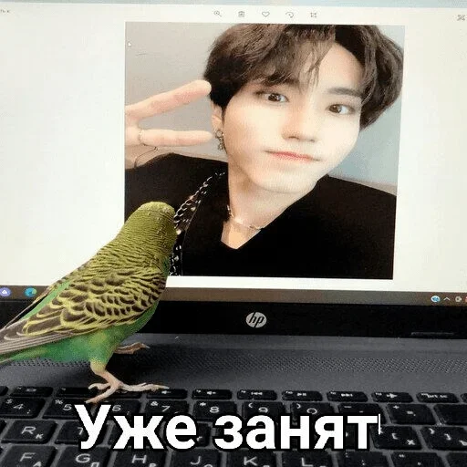 Стикер Favorite stickers :: @fStikBot - 4