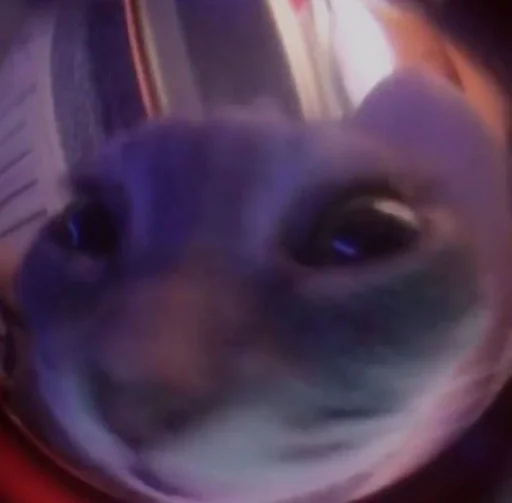 Стикер Favorite stickers :: @fStikBot - 1