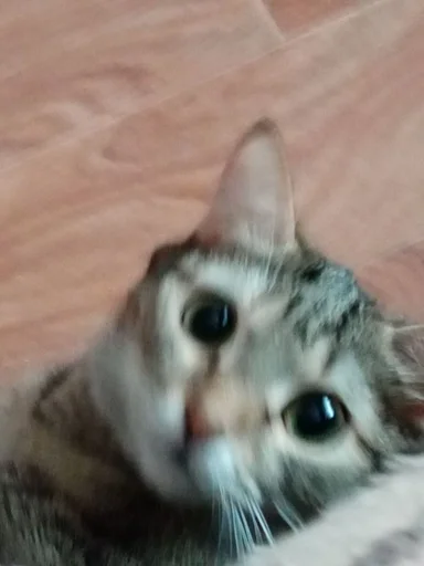 Favorite stickers :: @fStikBot - 