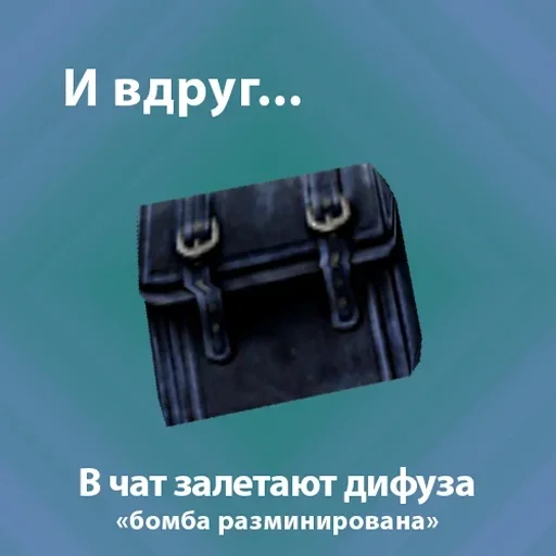 accessory bag luggage and bags