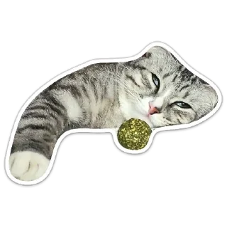 Стикер мяу - 1