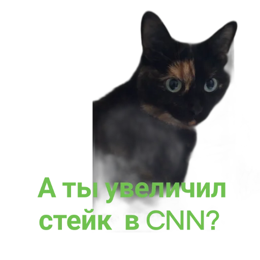 Sticker снн клуб by @sticat_app - 8