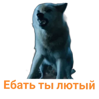 Стикер TTT by @sticat_app - 5