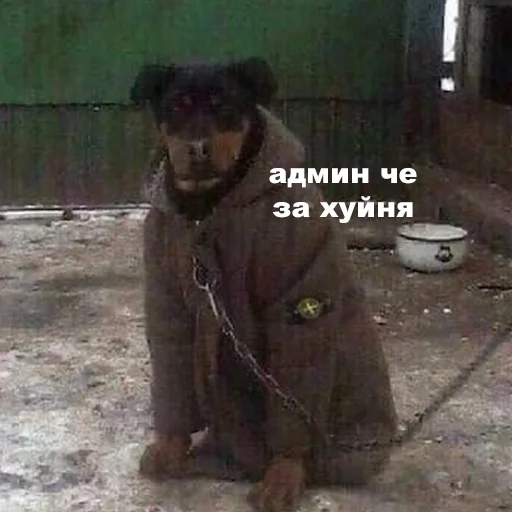 Sticker @fa_sales - 10