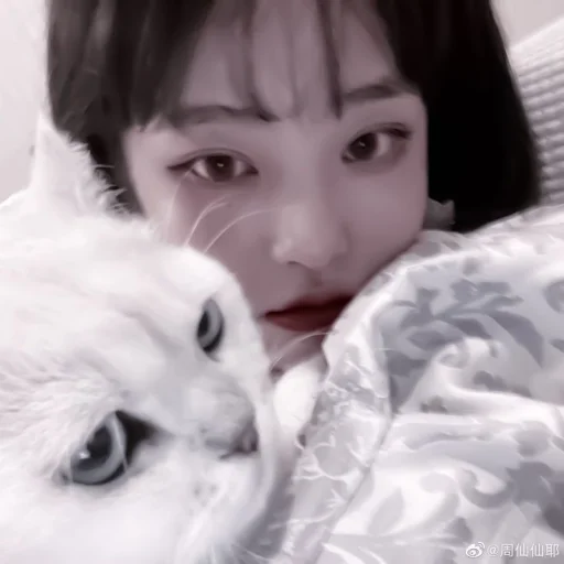 person human face pet