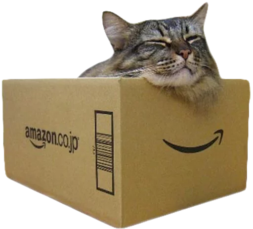 коробка кошка картон