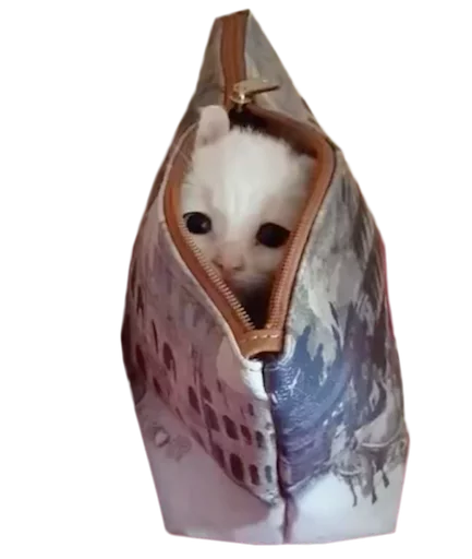 животное кошка млекопитающее