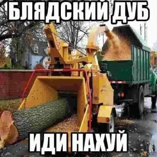 Sticker Факты дегенерата - @factsdolboeba - 3