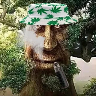 Sticker Факты дегенерата - @factsdolboeba - 0