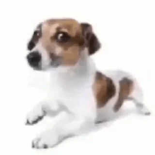 Sticker @i_love_akame - 4