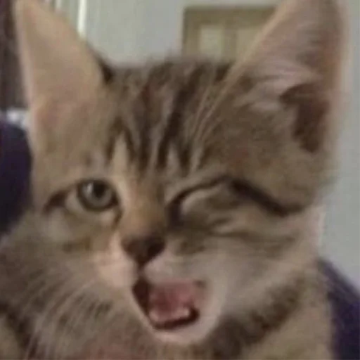 Стикер faini_zviryatka_2 - 1