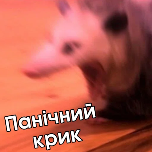 Sticker faini_zviryatka_2 - 1