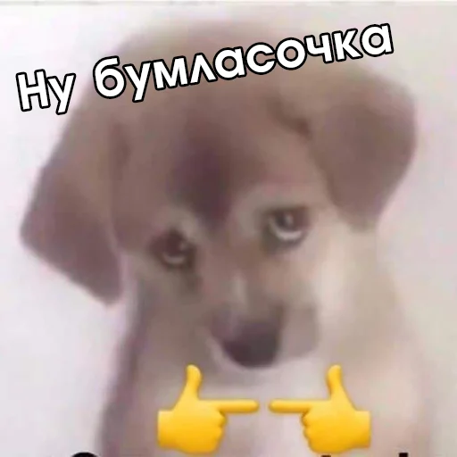 Стикер faini_zviryatka_2 - 1