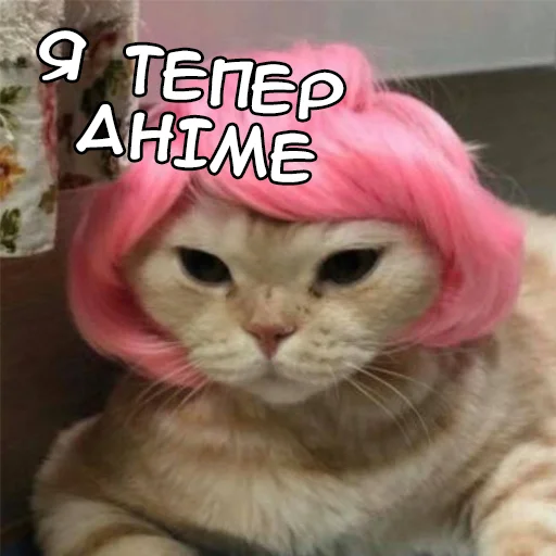 Sticker faini_zviryatka_2 - 1