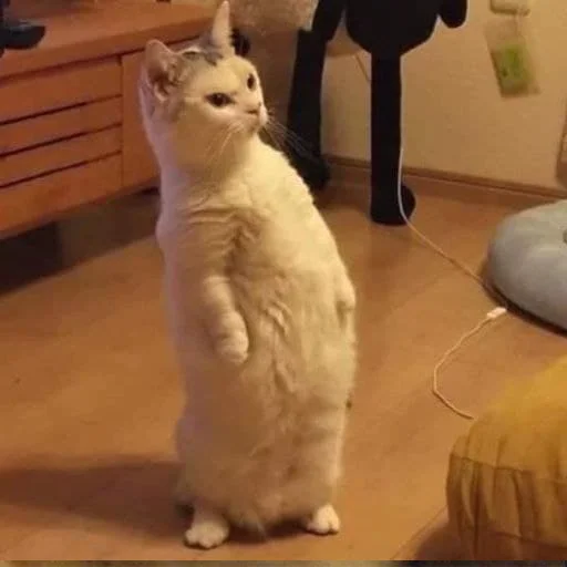 Стикер faini_zviryatka_2 - 1