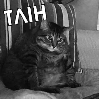 Стикер Файні звірятка 2 (by @gendalfs_titties) - 9