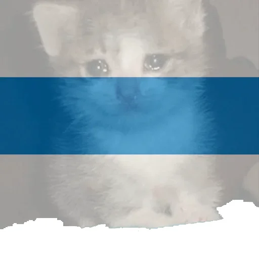 Стикер fair_russia - 1